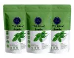 VEDICINE Pure And Natural Tulsi Leaf Powder (100gmx3)