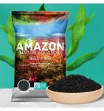 Vayinato Nepall Natural Aquarium Soil - 9 L