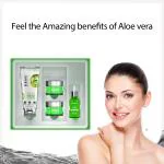 DR.Rashel Aloe Vera Skin Series Infused with the Goodness of Aloe Vera Extract & Vitamin E | Gently Cleanses & Boost Hydration | Facial Cleanser, Day Cream, Night Cream & Face Serum