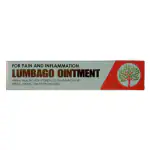 VISHWACHAITANYA AYURVEDIYA RASA-SHALA Lumbago Ointment 10gm Herbal Healing for spondylitis, Traumatic injury, Sprain, Strain, Joint Pain, Swelling