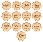 Svm Craft Durable Beige And Brown Baby Monthly Milestone Cards