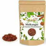 Dirghaanshi Malkangani, Jyotishmati, Celastrus Paniculatus, Malkangni Beej, Black Oil Plant (Pack of 250gm)