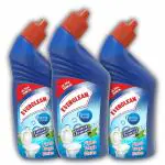 EVERCLEAN Original Disinfectant Toilet Cleaner Pack of 3 (500 ml each -Total 1500ml)