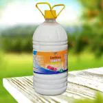 EverStore White Phenyl 5L (5 L)