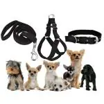 Senapati Dog Combo Pack of Harness Neck Collar Belt and Leash Set (X-Black Small)