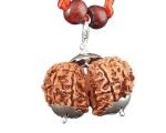 Feel Touch Mart Gauri Shankar Rudraksha Nepal Semi Precious Natural Gauri Shankar Rudraksha Authentic Beads Nepali Real Rudraksha Original Certified 23mm Pendant Bead for Mala