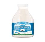 Skyrrup Gauras A2 cow milk - B17