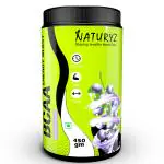 NATURYZ BCAA Energy Blast with 7000 Glutamine, Citrulline & Beta Alanine BCAA (450 g, Blueberry)