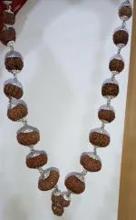 Feel Touch Mart 1 Se 21 Mukhi Rudraksha Indrani Mala Indrakshi Mala Pure 1 to 21 Mukhi Rudraksha Mala Natural Brown Bead A1 Gauri Shankar & Ganesh All Mukhi Rudraksh Mala for Mediation & Jaap