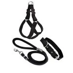 Senapati Dog Combo Pack of Harness, Neck Collar Belt and Rope Set (Black, Medium)