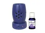Divine Home Blue Ceramic Electric Oil Diffuser with Aroma Oil (Pack Of 2)