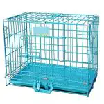 Wow Dog Cage Double Door Heavy Duty Folding Metal Kennel for Large Size Dogs and Adults 36 Inch (3 Feet)