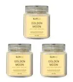Slayzo Golden Moon Herbal Skin Powder For Skin Brightening 300 g (100g X 3 Pack)
