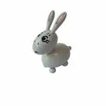 Channapatna Toys Wooden Spring Head Rabbit Toy for Kids( 1 Year+) - fine motor skills