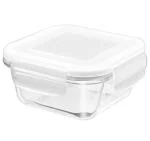 TREO Glass Container- 300 ml, Transparent