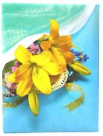 CSN - CUTE SHOPPING NETWORK, Natraj Series Photo Album with Extra Clear PVC Film, 40 Photos