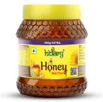 Hitkary Pharmacy Honey - 500g (250gm+ 250gm extra)