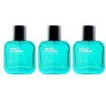 Wild Stone Edge Spray Perfume Combo for Men, Pack of 3 (100ml each)