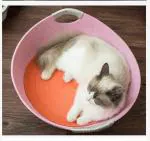 Pets Empire Cat Bed Sleeping Basket Cave With Cool Pad Washable And Removable