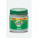 Zandu Balm 100ml