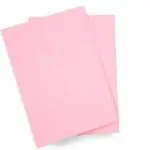ECLET Light Pink A3 Color Paper (Pack of 50)