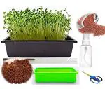 MG Naturals Organic Garden Cress Lepidium Complete Growing Kit
