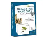 GrapplerTodd Multicolor Paper Montessori Educational Premium Flash Cards 6 Months to 6 Years Kids (pack of 48)