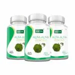 SEYA Natural Alfa Alfa (Medicago Sativa) Powder, 100gm (Pack of 3) / No Added Sugar / Dietary Supplement, Antioxidant, Rich in Vitamin, Amino Acids and Fiber