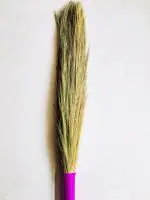 SHOP BY ROOM Long Plastic Handle Grass Broom( Jhadu) for House, Office, School, Hospital - Set of 1