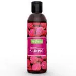 Re:fresh Lychee Shampoo 200 ML | Paraben Free Lychee Fruit Shampoo For Healthy Scalp, Suitable For All Hair Types