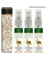 Menjewell Pack Of 3 Spicy Petitgrain Neroli Musk Eau de Parfum - 24 ml (For Men)