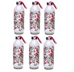 SAND DUNE Flower Fire Printed Glass water bottle,Travel Glass Drinking Fridge Bottle(800ml,set 6)