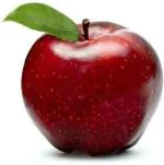 XOLDA Organic Apple fruit Seed (20 per packet)