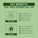 Youngtre Tea Tree Essential oil for Strong Healthy Hair Growth & Reduce Dandruff, Hair-fall (10 ml)