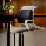 4V1 Orthopedic backrest Lumbar Support Pillow for Chair Car Backrest Cushion for Back Pain - UNISEX - BKRS-BLU-6