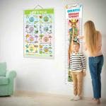 GOWOO Life Cycle Chart and GIRAFFE HEIGHT CHART |Set of 2 charts 1 Educational + 1 Height Chart | Life Cycle Chart and Giraffe Height Chart Adventure Set for Kids