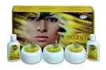 Insto Gold Facial Kit