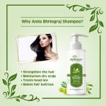 Earth Science Ayurveda Amla & Bhringraj Shampoo with Tea Tree Shampoo For Anti Dandruff (200 ml) | Shampoo | Anti Dandruff | Amla & Bhringraj Shampoo |Ayuvedic Shampoo