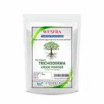 Wesfra Bio Organic 1 Kg Trichoderma Viride Powder Protects Against Spread Infection Of Seeds And Roots Of Plants