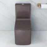 Plantex Commode for Toilet/Ceramic Western Commode/One Piece Commode with Soft Closing Toilet Seat - S Trap Outlet (M03, Brown)