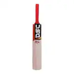 Dsc Fire Kashmir Willow Cricket Bat - Short Handle
