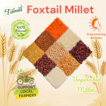 Tamili Foxtail Millet 800gm (UnPolished | Organic | Nature Grains)