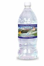 Gomukh Gangajal 1 Litre | The Purest Holly Water Directly From Gangoti Valley