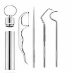 NIJANAM Stainless Steel Teeth Cleaning Tool Kit Oral Dental Tooth Personal Care Hygiene Tools Set | Toothpick Teeth Cleaner Set Personal Care (4 in 1_Silver)