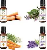 botanic garden Sandalwood,Lavender,Clary Sage,Carrot Seed oil for Uneven skin tone-10ml each (40 ml)
