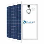 Bluebird Solar 300 Watt 24 Volt Polycrystalline Solar Panel (BIS Certified)