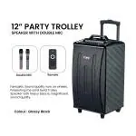imee-12 INCH-PARTY TROLLEY SPEAKER WITH DOUBLE MIC