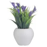 Foliyaj Artificial Mini Plant With Thin Long Leaves With Purple Cynthia Flowers 10 x 10 cm