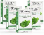 BEYORG Sulfate Free Brahmi Powder for Anti Dandruff Anti Hair Fall, Straightening and Smoothening - 500 g (pack of 5)