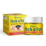VIDHMAAN AYURVEDA ITCH COAT Anti fungal Malam - for Ringworm, itching, Eczema & Fungal Infection Malam| itch coat cream| Dad Khaj Khujli cream|Fungal infaction Cream| itch Relief treatment PACK OF 2